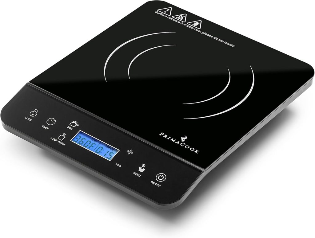 Portable Induction Cooktop Review