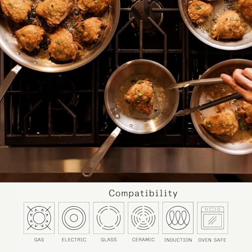 Stainless Steel Skillet Review: Best Picks For Home Cooks