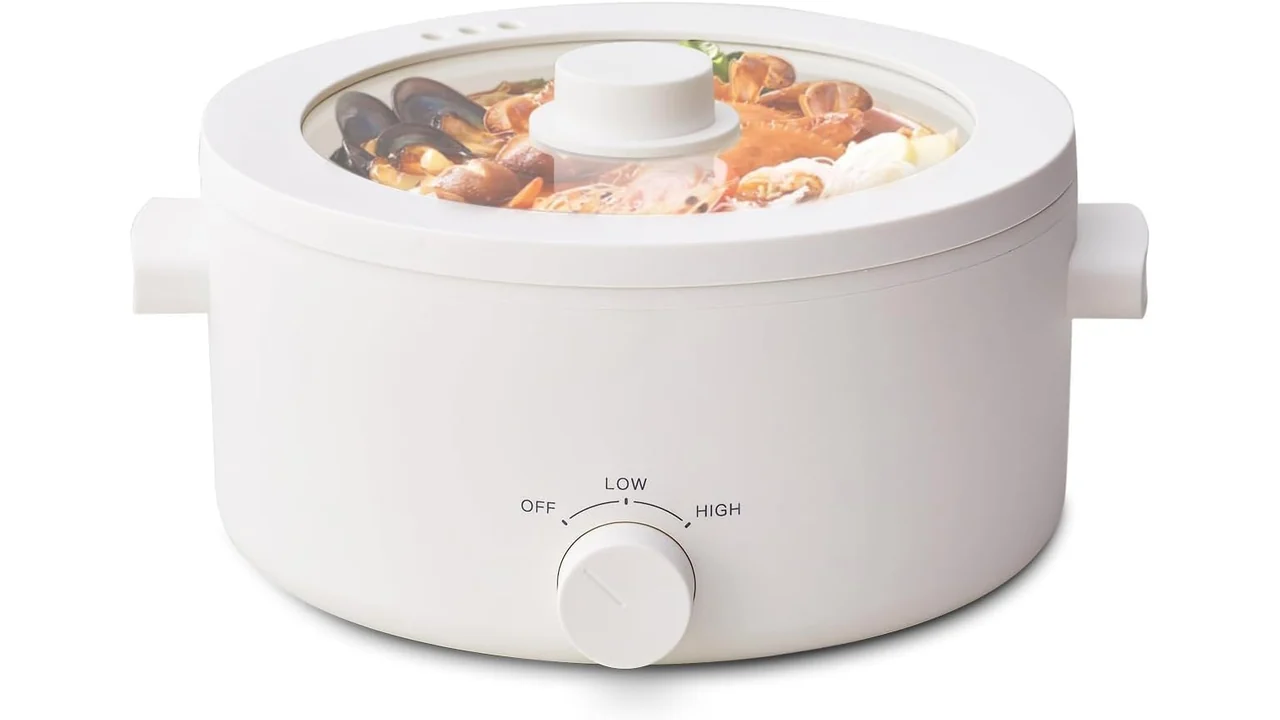 olayks Electric Hot Pot, 3L Portable Electric – Honest