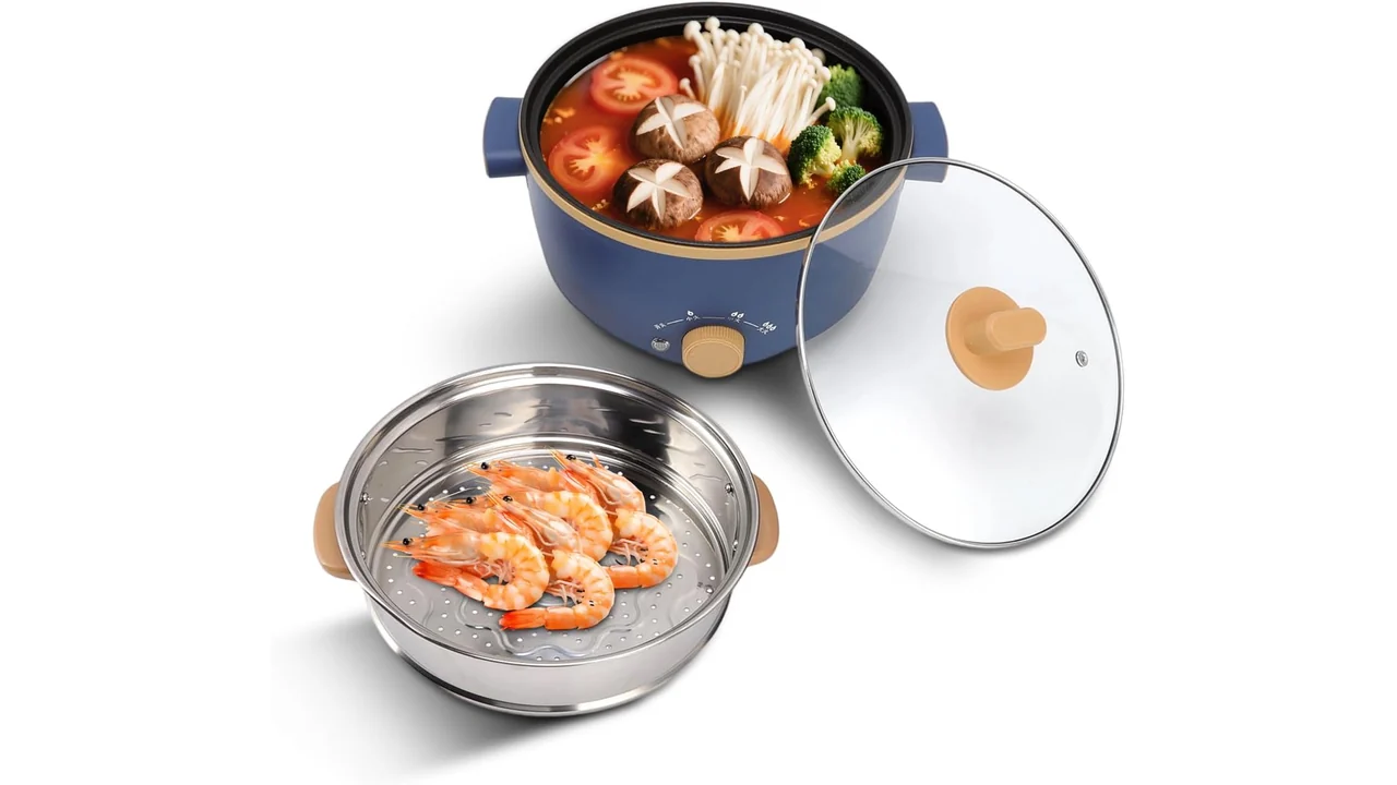 2.5L Electric Cooker Hot Pot – Honest Review