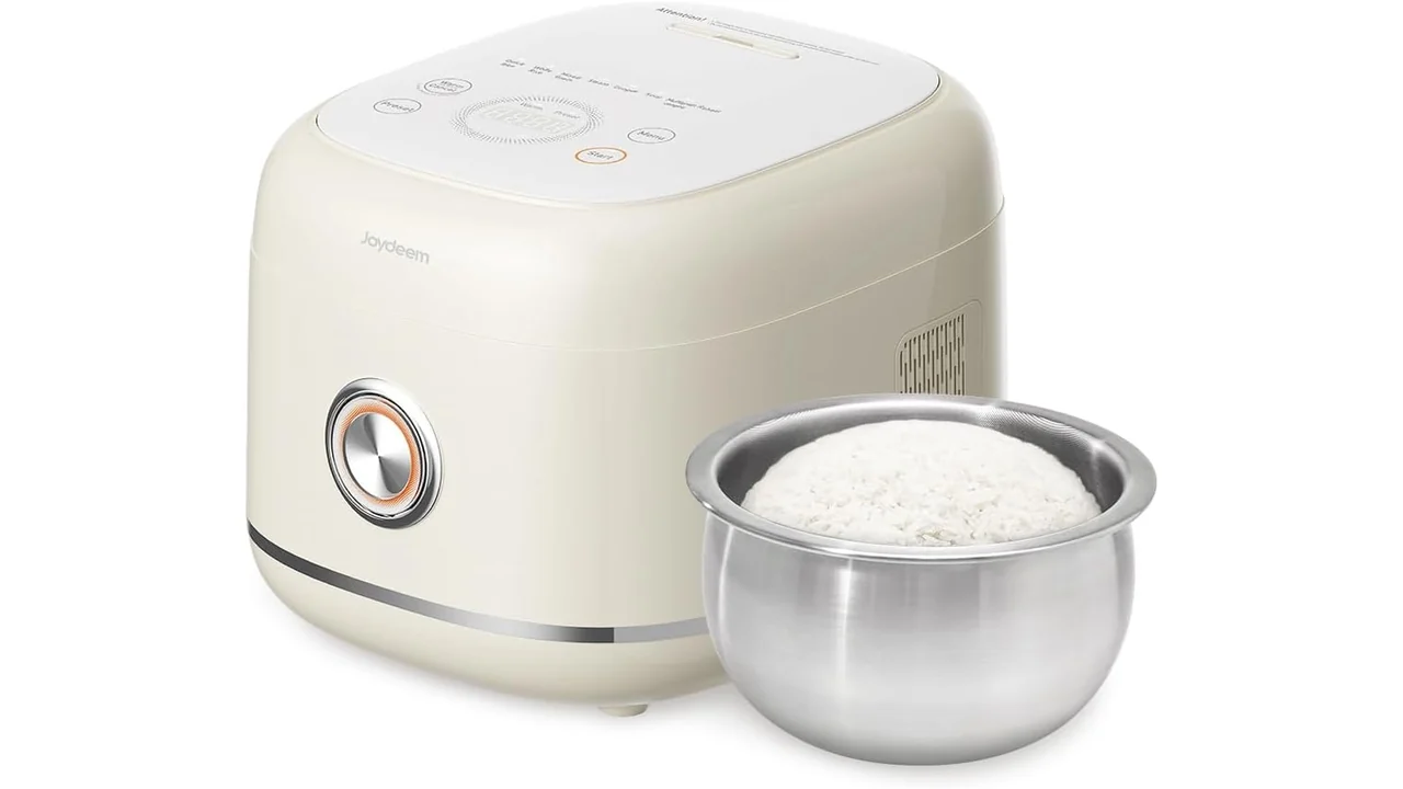 Joydeem Stainless Steel Rice Cooker – Unbiased Review