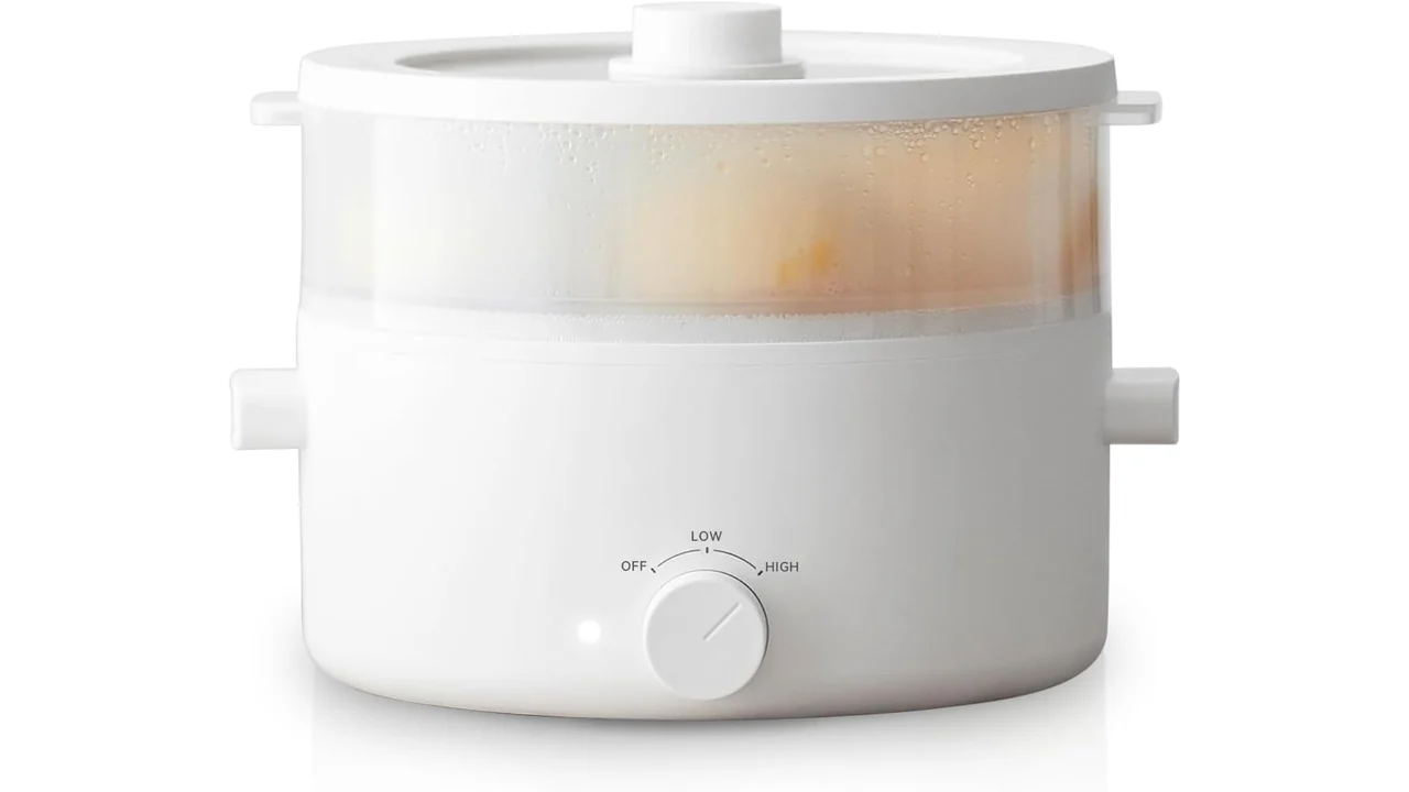Electric Steamer Cooking: Honest Review