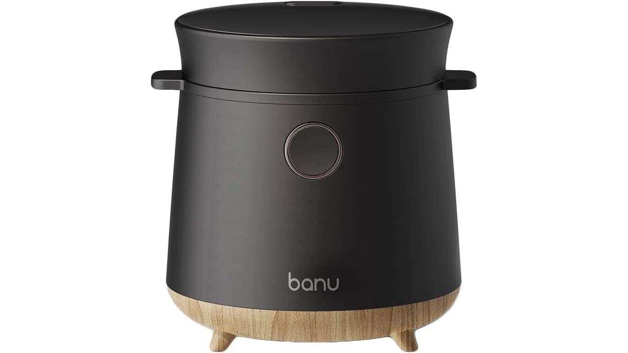 BANU Small Mini Rice Cooker – In-Depth Review