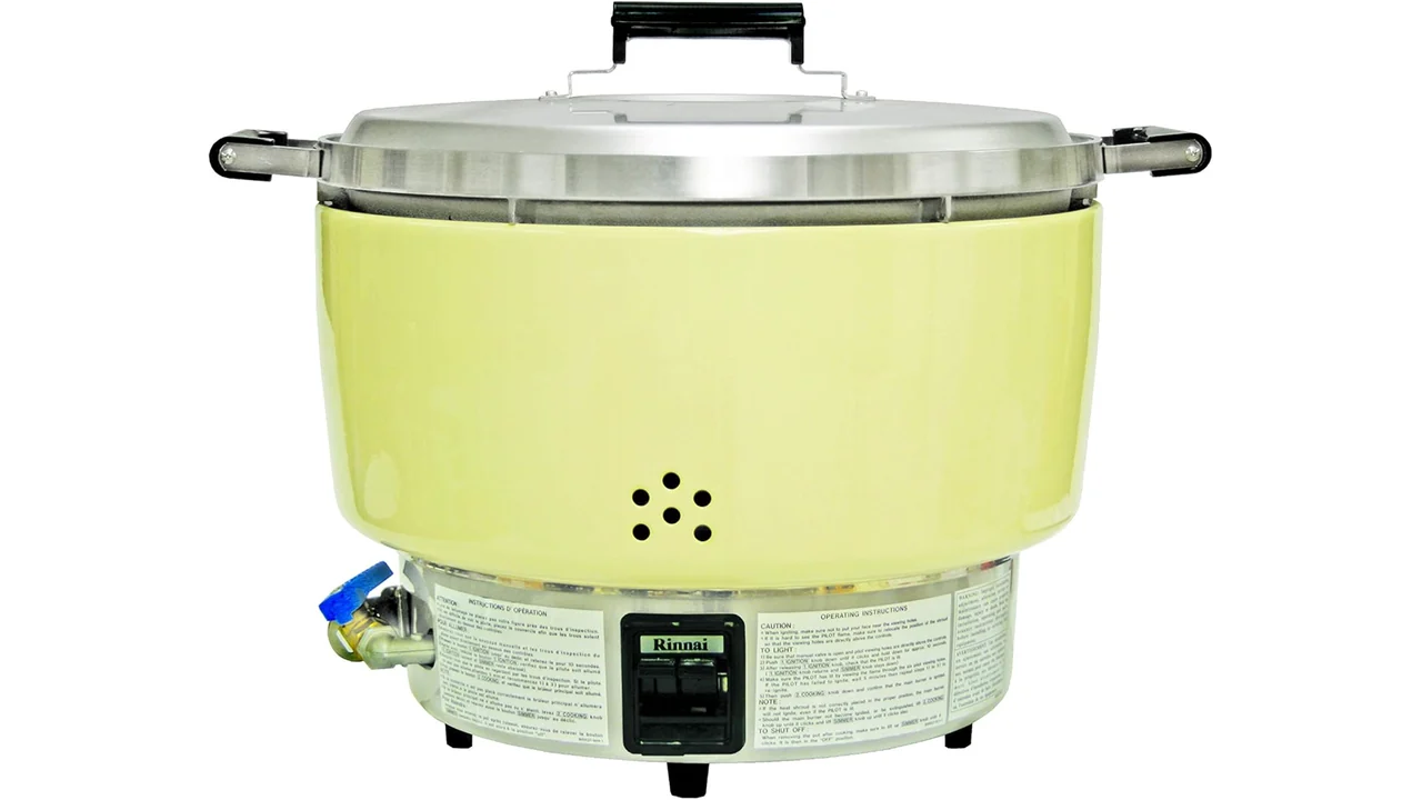 Rinnai 55 cups 110 bowls cooked rice – Complete Review