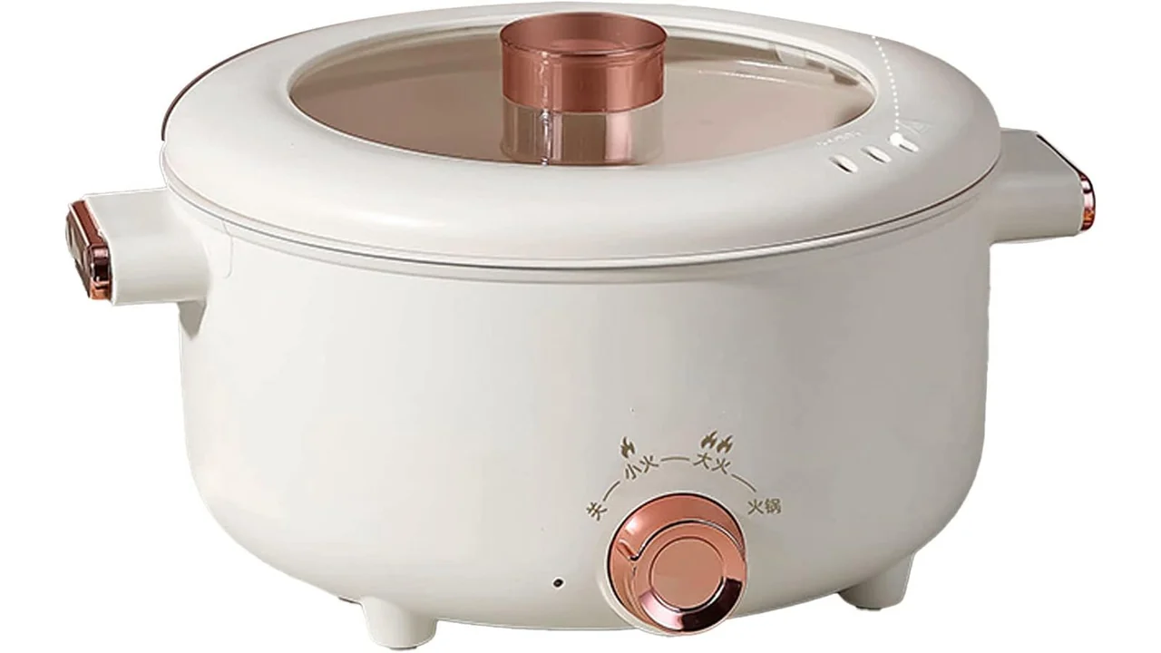 Fdit Electric Cooking Pot – Honest Review