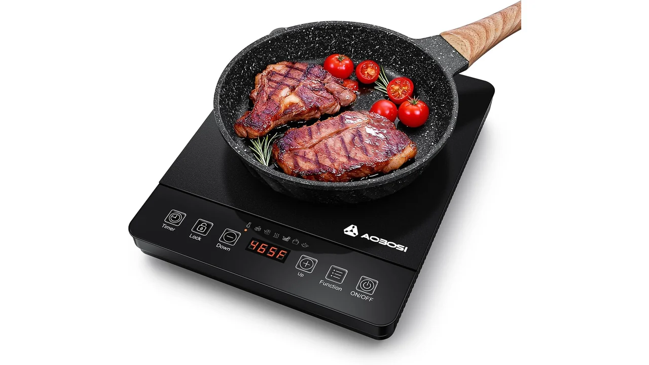 Portable Induction Cooktop 20 Temp & Power – In-Depth Review